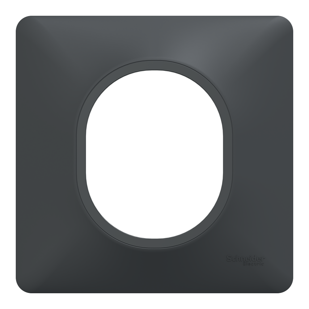 Plaque 1 poste Anthracite